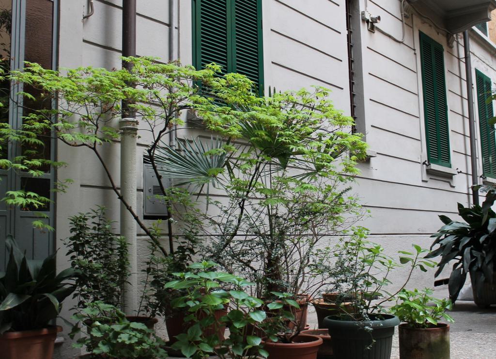Lepetit Milano — Foto 1